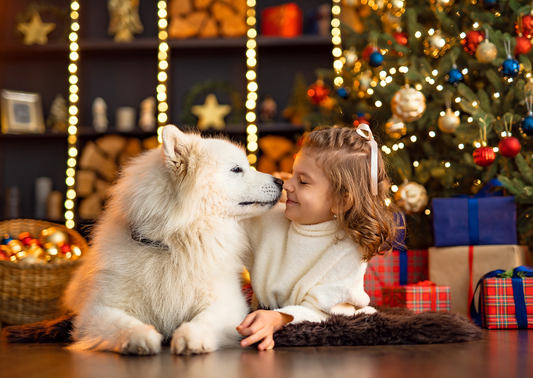 5 Ways to Make Your Dog's Christmas Paw-fect!