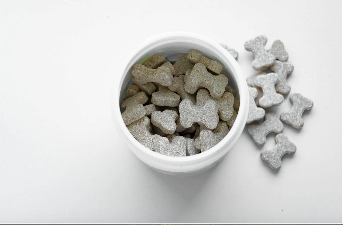 The Hidden Dangers in Low-Quality Dog Treats (And What to Choose Instead)