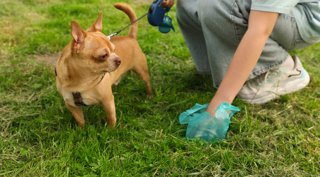 What are Eco-Friendly Poop Bags?